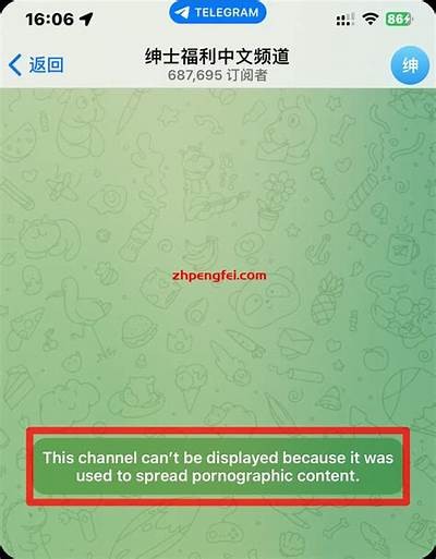 揭秘iOS成人抖阴密码：安全使用与隐私保护指南
