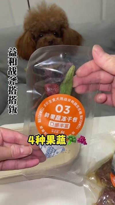 趣味羊驼吃草视频，萌宠瞬间带来欢乐！