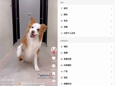 抖音破解版下载：2023最新无限功能版，完美体验！