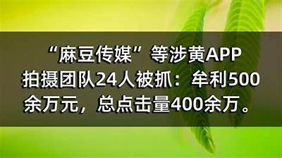 探秘麻豆传媒短视频App：最火污视频合集，畅享无限乐趣！