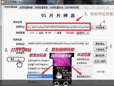 抖阴1.91破解版免费下载：畅享无限乐趣与精彩视频