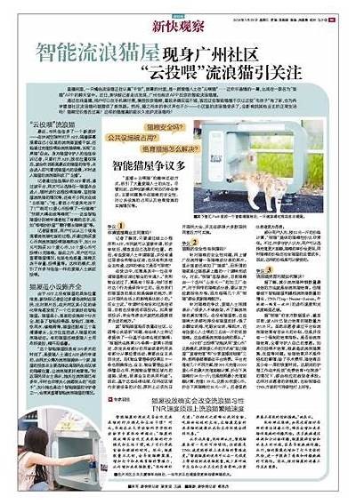 猫爪传媒421：探索新媒体时代的创意与发展之路