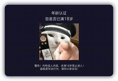抖阴非彼抖音：揭开短视频平台的真实面貌