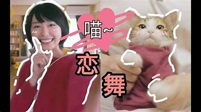 抖阴快猫：让你的猫咪在线上享受快乐时光