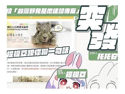 兔宝宝抖阴：揭秘兔宝宝的可爱世界和抖音热门瞬间