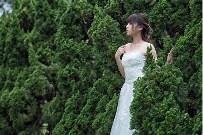 麻豆传媒新娘喜帖系列：浪漫创意婚礼邀请
