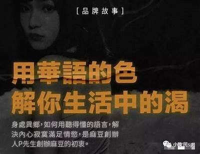 如何剖析麻豆传媒的盈利模式与商业策略