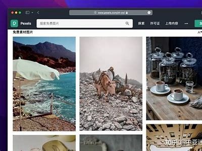抖音热门资源分享：最新视频素材与创作灵感推荐