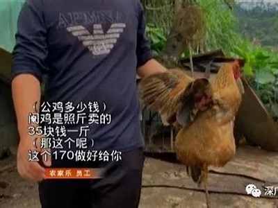 麻豆破解短视频传媒app下载：轻松获取精彩短视频内容