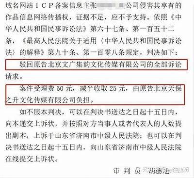 揭晓上海麻豆文化传媒案件背后的真相与影响解析