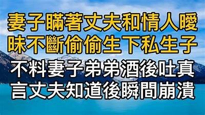 麻豆传媒新剧：揭秘老公的客户背后的故事与真相