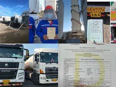 麻豆传媒最新保安服务升级，保障您影片的安全与隐私