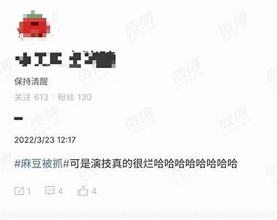 麻豆传媒SWAG女主角真实姓名揭秘，网红背后的故事