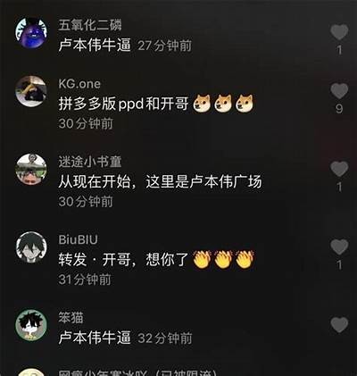 卢阴秀抖音视频：揭秘其背后的创作故事与成功秘诀