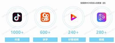 抖音333：揭秘短视频新动向与营销策略