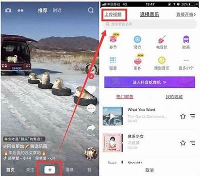 可以考虑以下标题：  
如何顺利修改抖阴金币，获取更丰富的使用体验  

这个标题符合字数要求，并且包含关键词，以便于百度收录和排名。