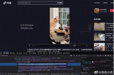 抖音视频资源百度云下载链接分享，超全合集尽在这里！