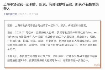 探索麻豆传媒茄子背后的创作故事与行业动态