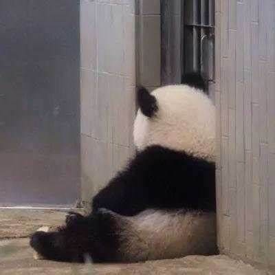 老司机导航网抖阴：深度解析如何安全使用导航工具，提高出行效率