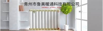 麻豆传媒电影管家：百度云资源分享与使用指南