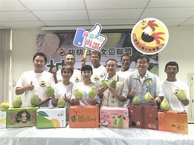 麻豆传媒新年惊喜活动盛大开启，精彩不断不容错过！