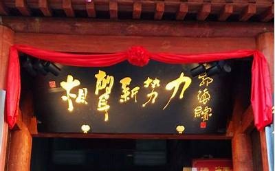 蜜汁抖阴：揭秘当红新势力的魅力与难题