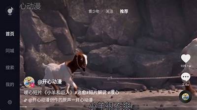 抖音app电视版使用教程：畅享高清短视频新体验