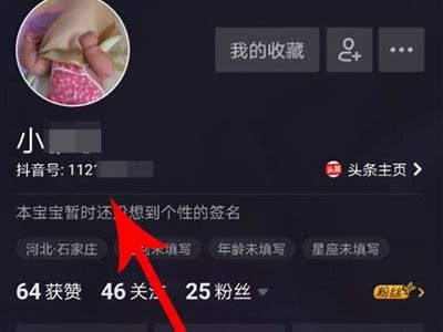 抖音最新破解版免费下载，轻松享受无限精彩视频体验