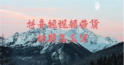 视频标题示例：抖阴精彩瞬间：不可错过的搞笑片段和感人时刻合集