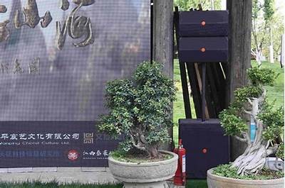 使用草莓APP畅享抖阴乐趣，获取最新视频与社交体验！