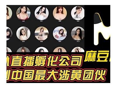 探索麻豆文化传媒的官方网站和资源链接