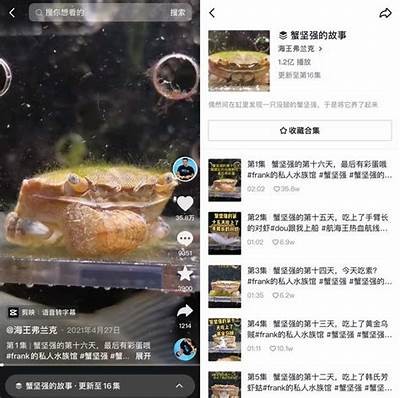 抖音小妖精：揭秘短视频平台上的热门新星与其特有魅力