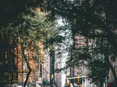 详细步骤教你轻松下载抖阴视频，快速实用技巧分享