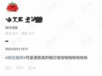 麻豆传媒演员表：顾美玲的精彩作品与个人简介